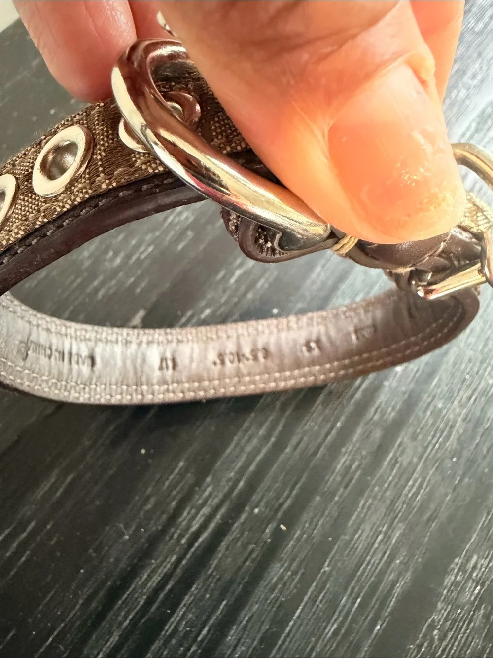 Authentic Coach Monogram Brown  Leather Trim Dog Collar with Silver Hardware